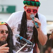 Hackbrett Tulln 031